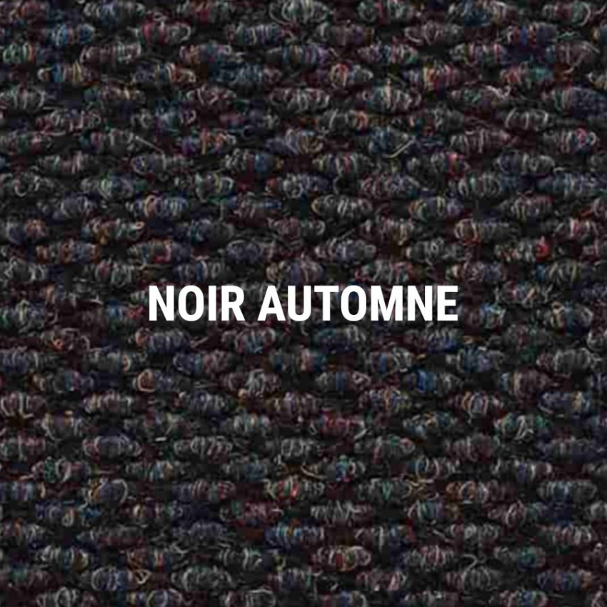 Tapis grattants Tapis aiguilleté robuste - 174 - 113 MASTER TRAX