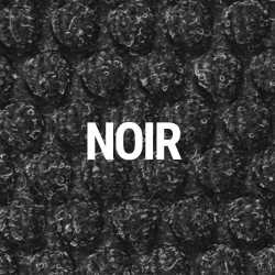 Tapis absorbants Tapis barrière à bulles robuste - 46.8 - 150 AQUATRAP