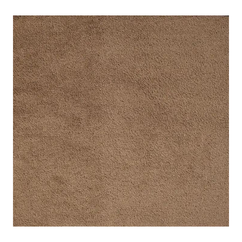 Tapis antisalissures Tapis antisalissure absorbant spécial moquette - 228.456 - 