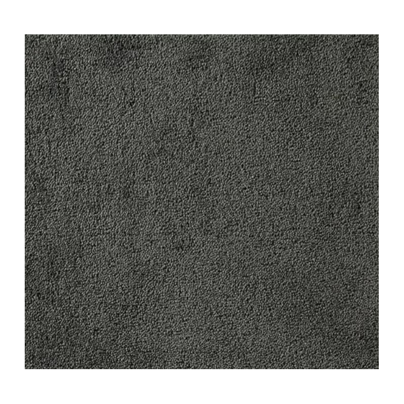 Tapis antisalissures Tapis antisalissure absorbant spécial moquette - 228.456 - 