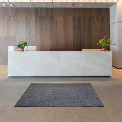 Tapis et revêtements de sols Tapis antisalissure grattant et absorbant - 160.26 - 