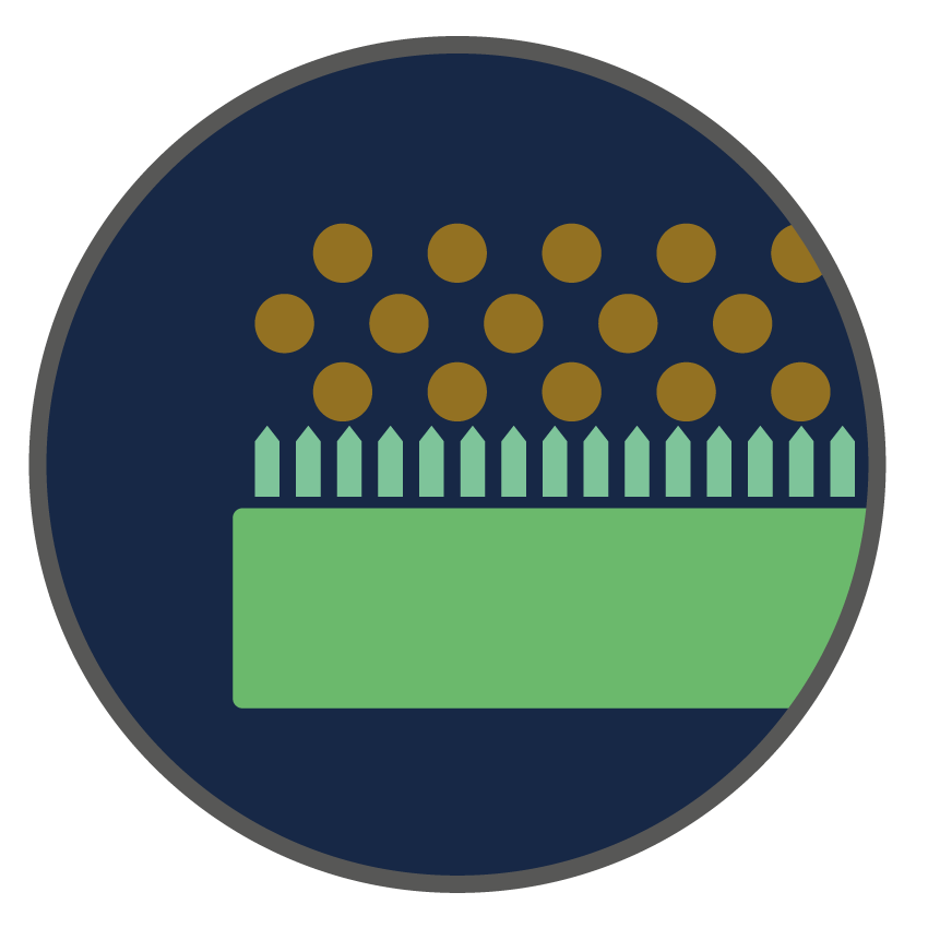 Tapis anti-salissures grattant - Tapis d'entrée professionnel